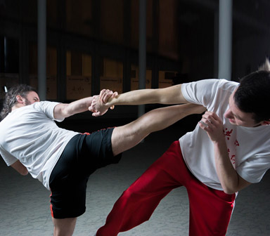 Mixed Martial Arts Dubai