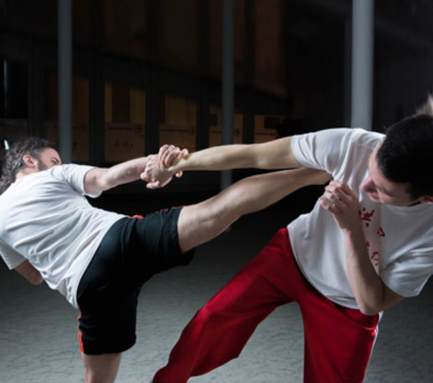 mixed martial arts training